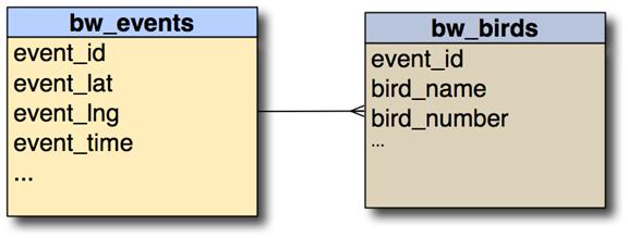 The Relationship Between bw_events and bw_birds