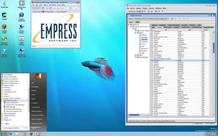 Empress Java SQL Local Access Client